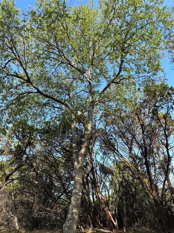 12333A Ranch Rd 12 Unit 1, Wimberley, TX 78676