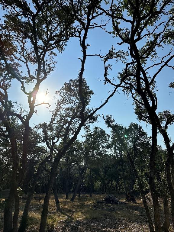 12333A Ranch Rd 12 Unit 1, Wimberley, TX 78676