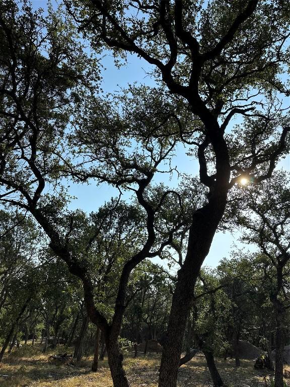 12333A Ranch Rd 12 Unit 1, Wimberley, TX 78676