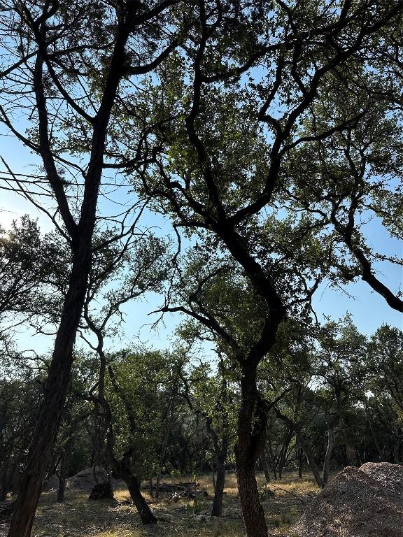 12333A Ranch Rd 12 Unit 1, Wimberley, TX 78676