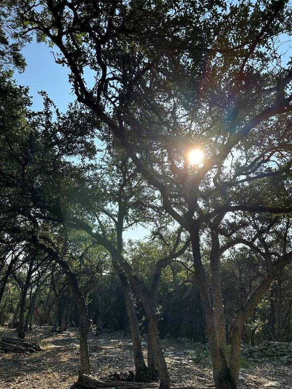 12333A Ranch Rd 12 Unit 1, Wimberley, TX 78676