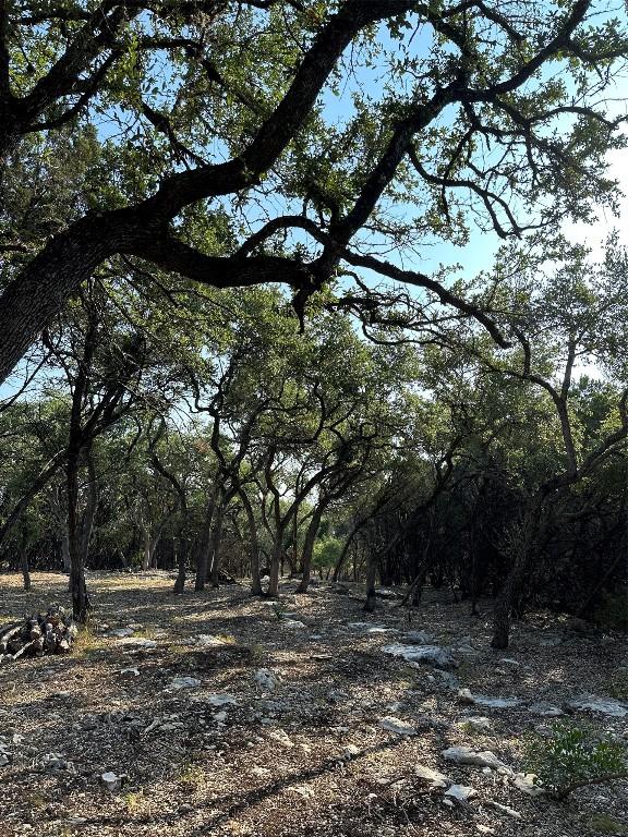12333A Ranch Rd 12 Unit 1, Wimberley, TX 78676