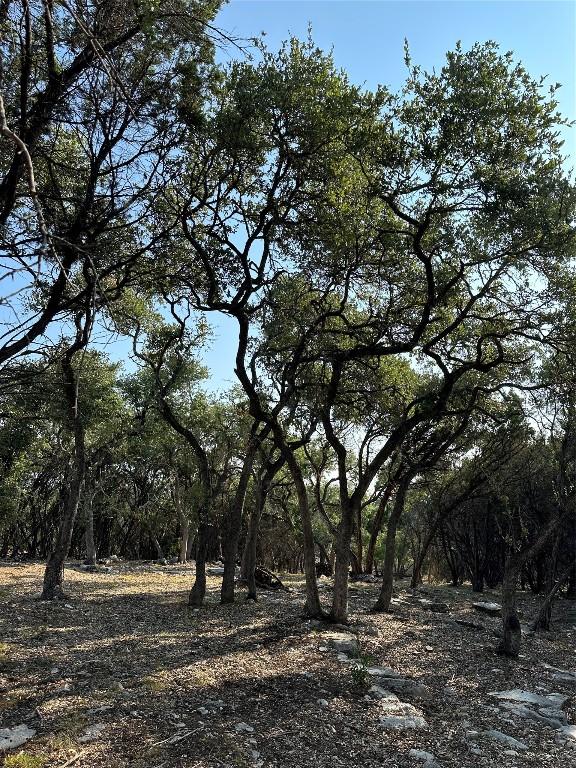 12333A Ranch Rd 12 Unit 1, Wimberley, TX 78676