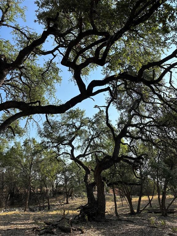 12333A Ranch Rd 12 Unit 1, Wimberley, TX 78676