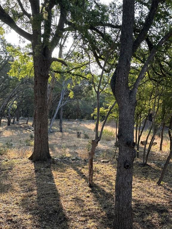 12333A Ranch Rd 12 Unit 1, Wimberley, TX 78676
