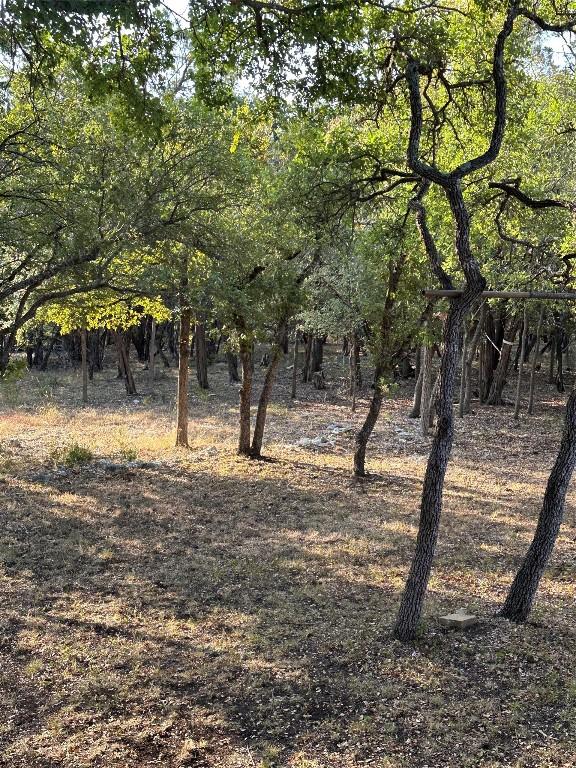 12333A Ranch Rd 12 Unit 1, Wimberley, TX 78676