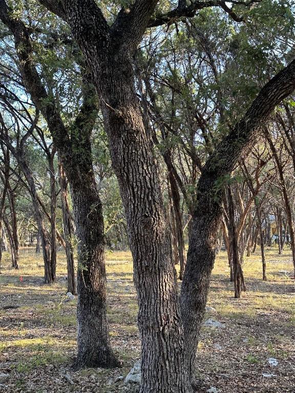 12333A Ranch Rd 12 Unit 1, Wimberley, TX 78676