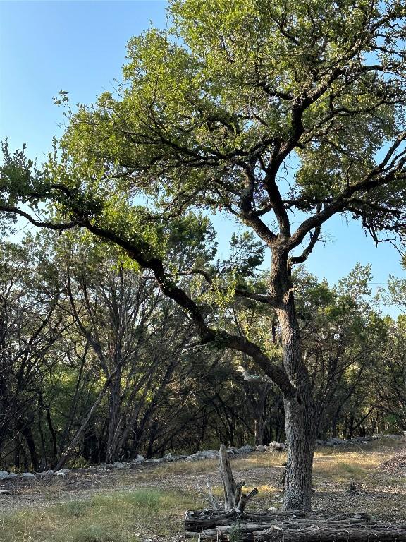 12333A Ranch Rd 12 Unit 1, Wimberley, TX 78676
