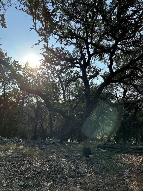 12333A Ranch Rd 12 Unit 1, Wimberley, TX 78676