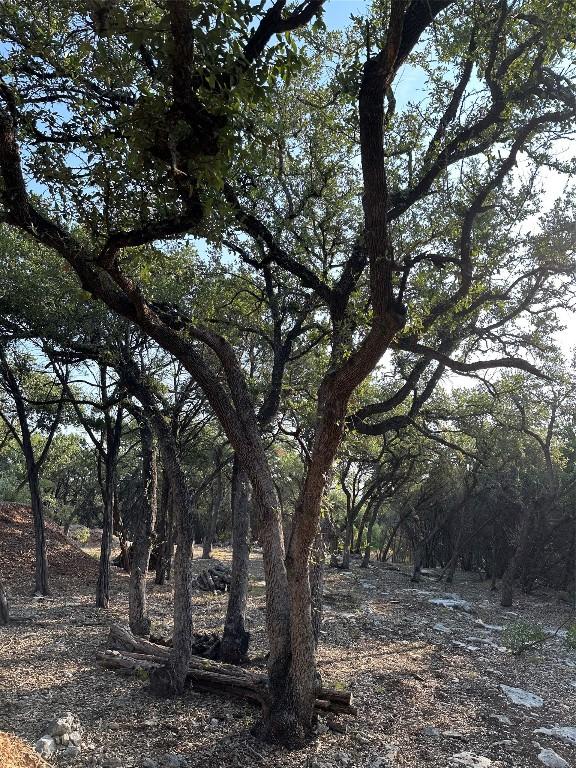12333A Ranch Rd 12 Unit 1, Wimberley, TX 78676