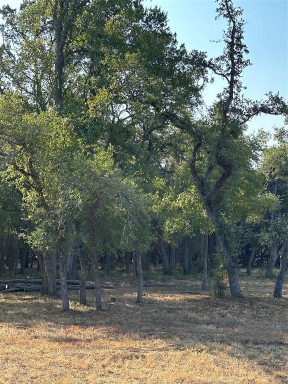 12333A Ranch Rd 12 Unit 1, Wimberley, TX 78676