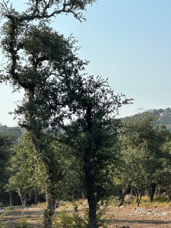 12333A Ranch Rd 12 Unit 1, Wimberley, TX 78676