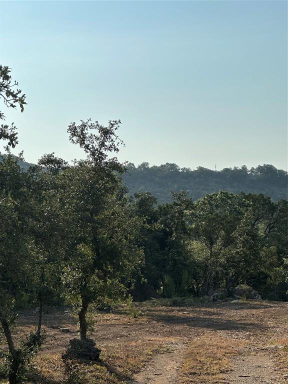 12333A Ranch Rd 12 Unit 1, Wimberley, TX 78676