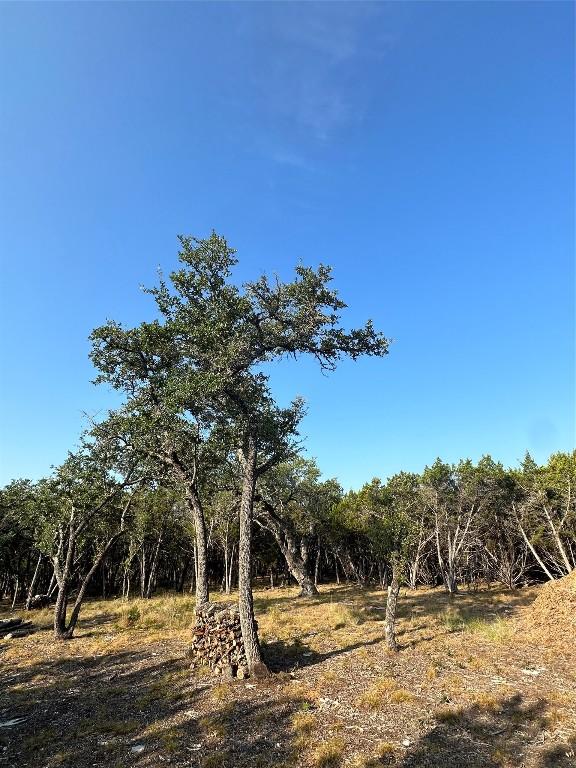 12333A Ranch Rd 12 Unit 1, Wimberley, TX 78676