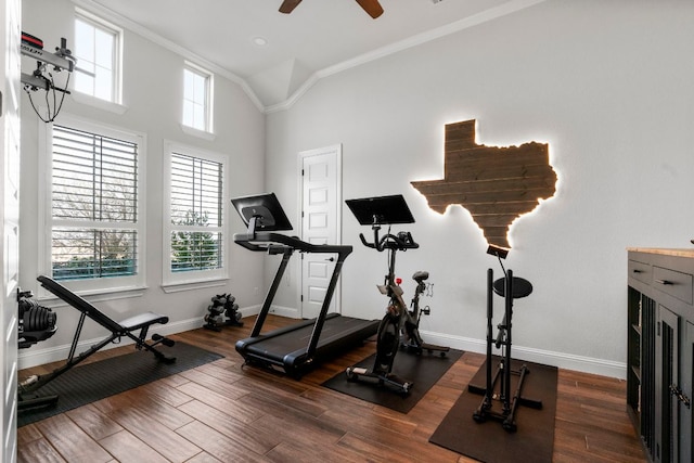 workout room with high vaulted ceiling, dark wood finished floors, crown molding, baseboards, and ceiling fan