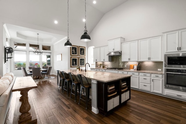 kitchen with dark wood-type flooring, under cabinet range hood, a sink, backsplash, and appliances with stainless steel finishes