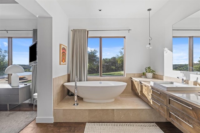 bathroom featuring a freestanding tub, a healthy amount of sunlight, wood finished floors, and vanity