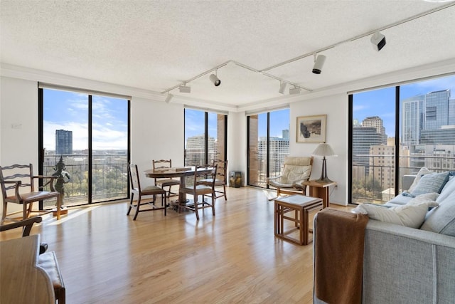 living area with a city view, floor to ceiling windows, and light wood-style flooring