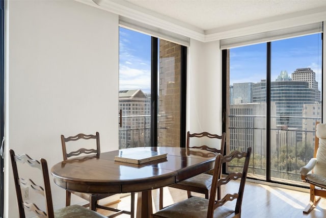 dining room featuring floor to ceiling windows, a view of city, and wood finished floors