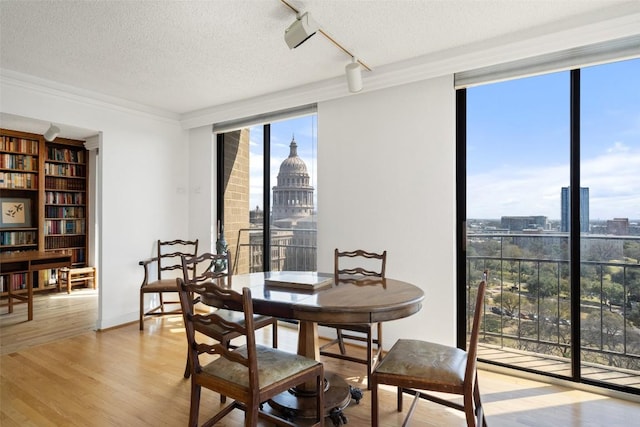 dining room featuring a wall of windows, light wood-style floors, a city view, and a textured ceiling