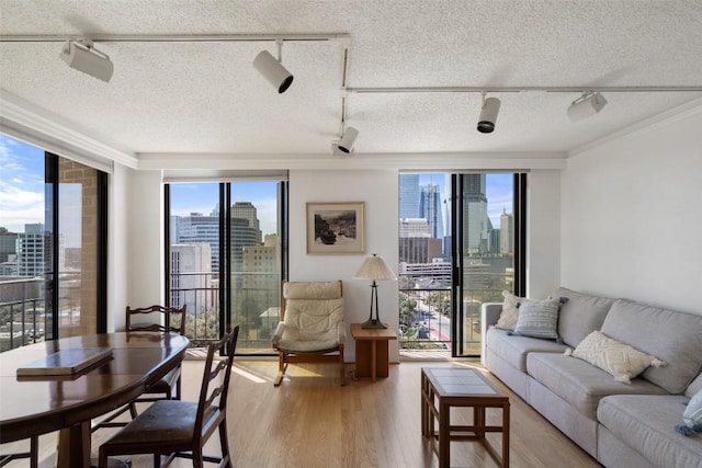 living room with a view of city, light wood-style floors, and a textured ceiling