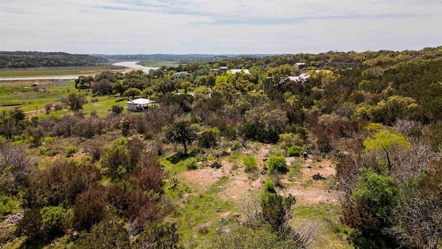 551 Lake View Dr, Spicewood, TX 78669 - photo 3