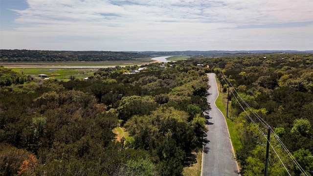 551 Lake View Dr, Spicewood, TX 78669 - photo 9