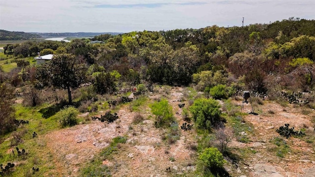 551 Lake View Dr, Spicewood, TX 78669 - photo 11