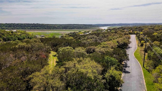 551 Lake View Dr, Spicewood, TX 78669 - photo 21