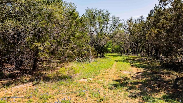 551 Lake View Dr, Spicewood, TX 78669 - photo 24