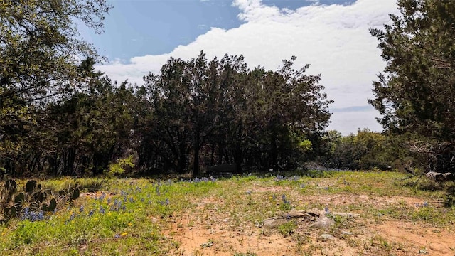 551 Lake View Dr, Spicewood, TX 78669 - photo 25