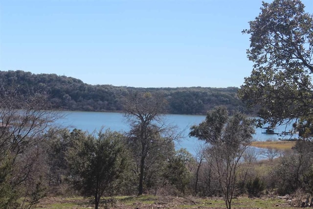 551 Lake View Dr, Spicewood, TX 78669 - photo 1
