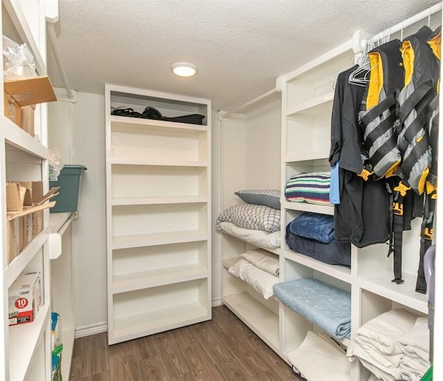 spacious closet with dark wood finished floors