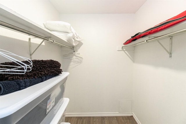 spacious closet featuring wood finished floors