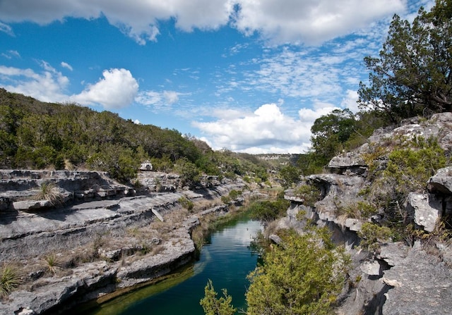 property view of water with a forest view