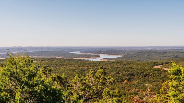 mountain view featuring a water view and a view of trees