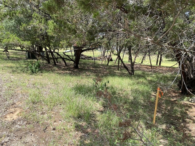 1304 Gold Ln, Leander, TX 78645