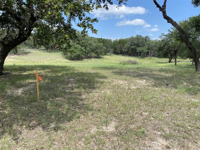 1304 Gold Ln, Leander, TX 78645