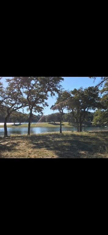 1304 Gold Ln, Leander, TX 78645 - photo 3