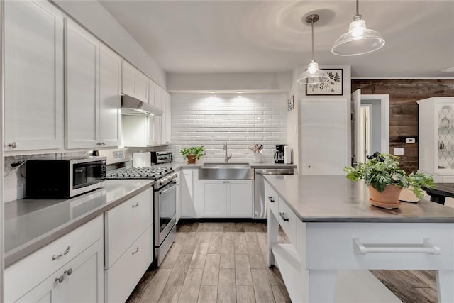 kitchen with under cabinet range hood, white cabinetry, stainless steel appliances, and a sink