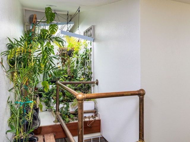 8200 Neely Dr Unit 250, Austin, TX 78759 - photo 13