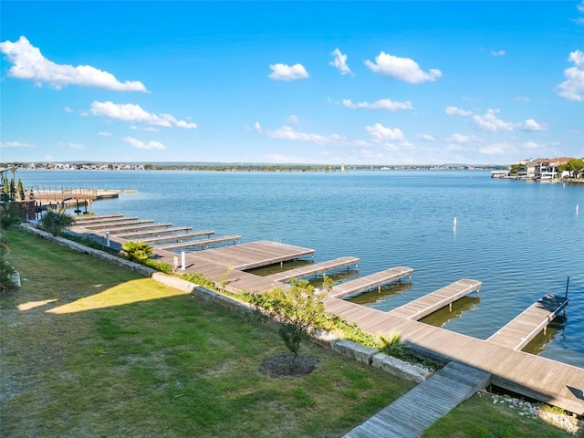 dock area with a water view