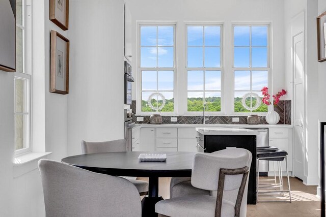 281 Pullman Ct, Round Rock, TX 78664 - dining space featuring healthy amount of natural light