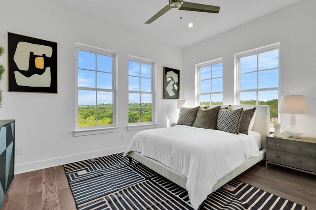 281 Pullman Ct, Round Rock, TX 78664 - bedroom with wood finished floors, ceiling fan, and recessed lighting