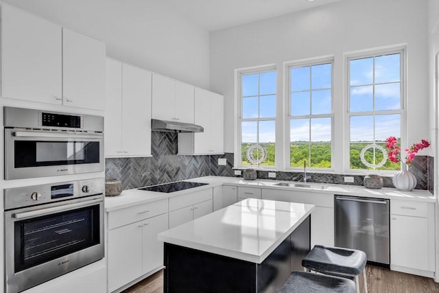 kitchen featuring under cabinet range hood, light countertops, decorative backsplash, stainless steel appliances, and a sink