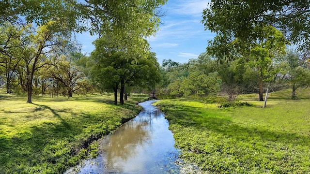 view of home's community with a yard