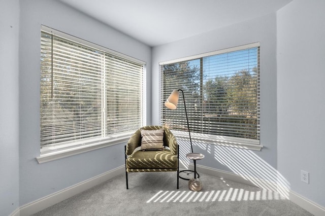 sitting room with carpet flooring and baseboards