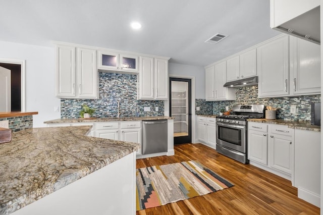 6303 Sam Maverick Pass, Austin, TX 78749 - kitchen featuring stainless steel appliances, under cabinet range hood, white cabinets, light wood-style flooring, and recessed lighting