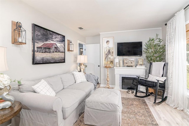 living area featuring wood finished floors and a glass covered fireplace