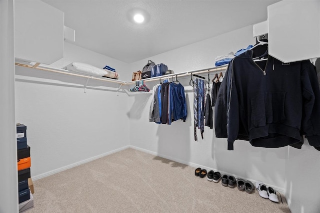 walk in closet featuring carpet floors